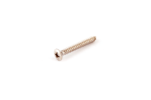 Picture of Electro-zinc plated DIN 7983 5,5 X 22