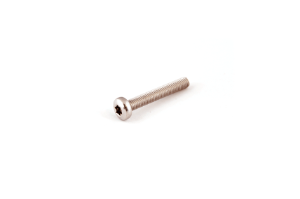 Picture of A4 DIN 7985 Torx M 3 X 10